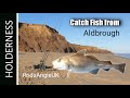 Catch fish from holderness aldbrough