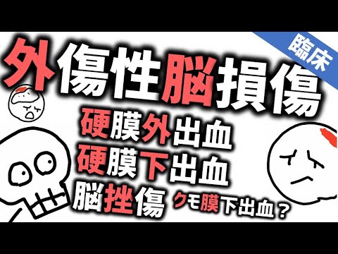 外傷性脳損傷と精神症状［臨床］硬膜下血種や硬膜外血種や脳挫傷について『モリソン先生のルールアウト』No5b