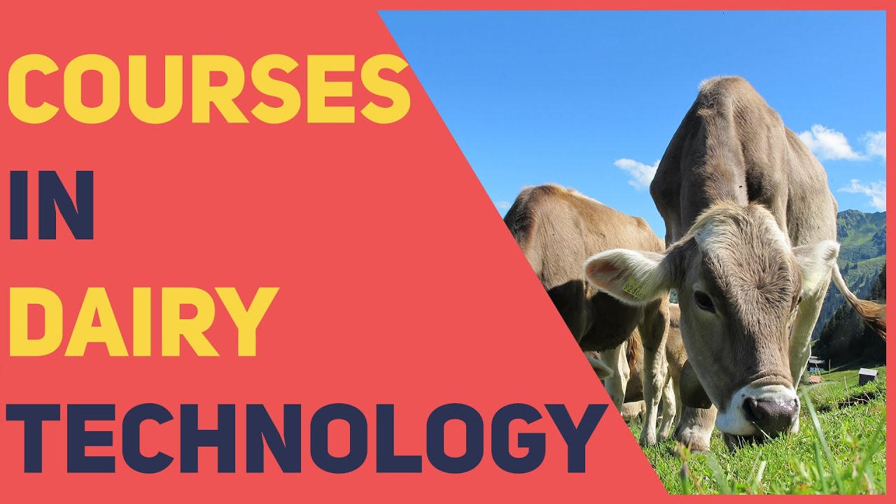 Dairy Technology Courses & Colleges | In Hindi