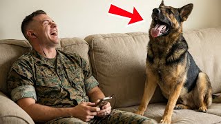This Rescue German Shepherd Scolds His Marine Dad Every Time He Laughs - TRY NOT TO CRY...