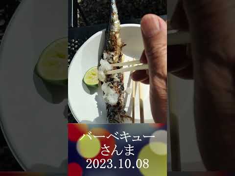 バーベキュー　さんま　2023 10 08