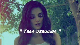 Tera Deewana - Soch The Band (LYRICS)