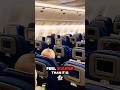 Why does turbulence feel scarier than it actually is?👻✈️ #youtubeshorts #planes #shorts #airplane