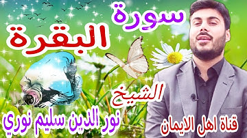 سورة البقرة كاملة مكررة لطرد الشياطين الشيخ نور الدين سليم نوري surat albiqrat nur aldiyn salim nuri