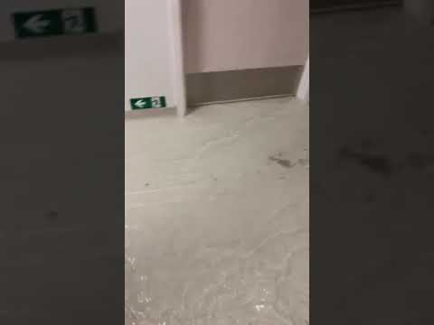 Parti di edificio nobo di hospital HOH bou di awa awe!