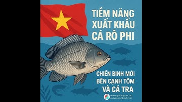 ▶ CÁ RÔ PHI VIỆT NAM: TIỀM NĂNG & CƠ HỘI VÀNG XUẤT KHẨU RA THẾ GIỚI 🎙 #PODCAST #ThủySảnWork