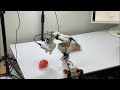 LeRobot SO-101 Trained ACT Policy with Failure Cases | Learning AI Robot