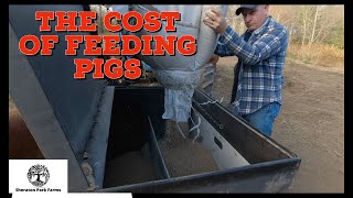 The Cost Of Farming - Feeding 100 Pastured Pigs 5 Tons!