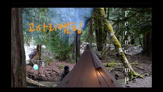 My 1st Vegetarian Camp with  Snow peak IGT Table, Fern picking