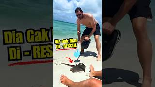Viral Fish  Funny Stranded But Wont Be Rescued  funnyshorts funny hilarious