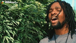 Delly Ranx - Weed Market [Official Video 2018] chords