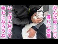 保護して終わりじゃない。みんな幸せになってほしい！