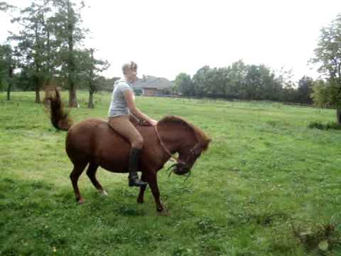 Frauen Reiten Auf Männern Frauen Reiten Auf Männern