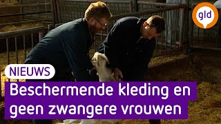 Q-Koorts In Brakel, Vaccinatietraject Gestart