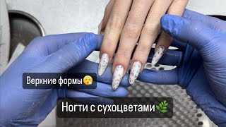 Как поднять клюющие ногти?🦋 Сухоцветы на ногтях