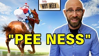 Why Week: Why Do Racehorses Have Such Weird Names?