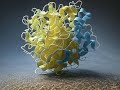 A Course on Protein Modeling and Strategies