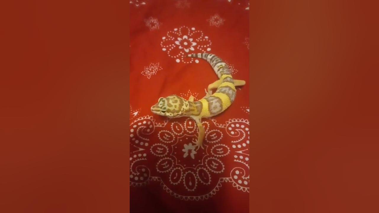 He is 4 months old youtube