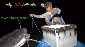 Giăng câu diền, câu dây bằng mồi dế kiểu này BẮT HẾT CÁ trên sông | Fishing