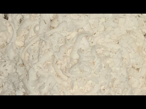 ياجمالو ياجمالو احلى جبنه موزاريلا مبشوره عمايل ايديا 