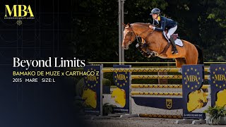 Beyond Limits Beyond Limits
