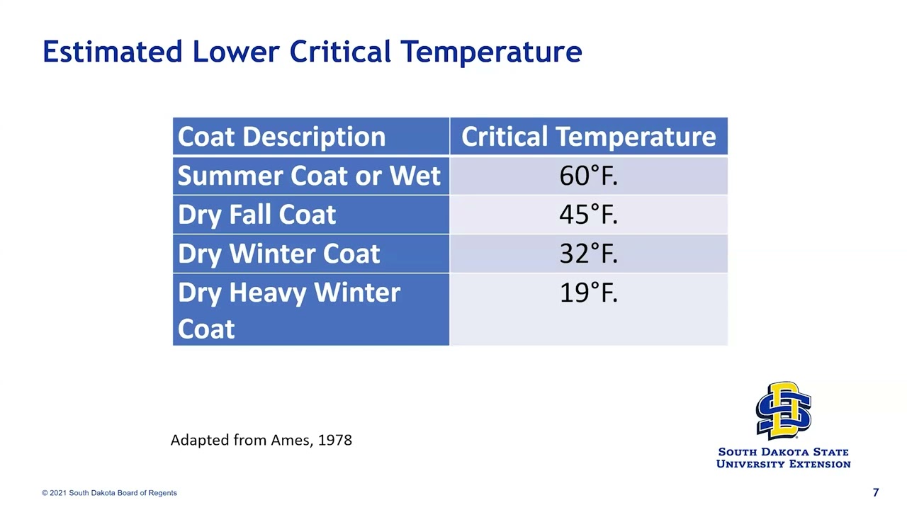 Cattle HQ Live: January - Winter Cattle Management