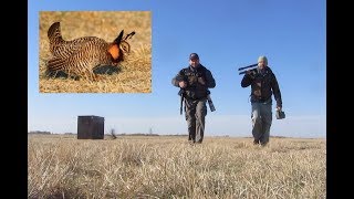 Wildlife Photography...A Minnesota Prairie Chicken Blind