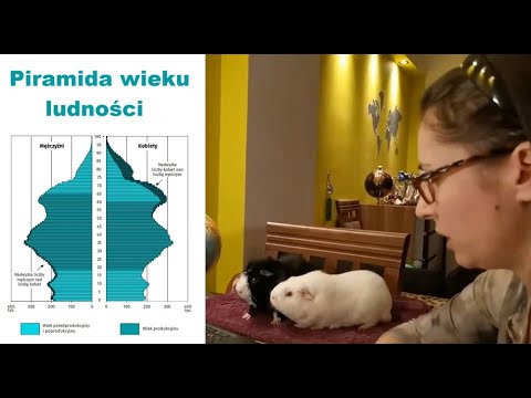 Wideo: Średnia Prędkość Chodzenia: Tempo I Porównania Według Wieku I Płci