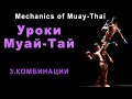 Механика Муай-Тай 3. Комбинации