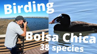 Birding Bolsa Chica Reserve in Huntington Beach, CA. 38 Species Identified. Amazing Birds!