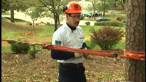 Mechanical Advantage Part 2