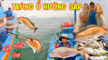 CÂU RẠNG 4_Bất Ngờ Đổi Cục Rạng Mới,Trúng Ổ Cá Hường Sáp,Cá Kẽm To Chà Bá_Anh Em Kéo Rát Tay