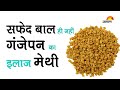 Benefits Of Methi (Fenugreek) :- सफेद बाल ही नहीं गंजेपन का इलाज  मेथी