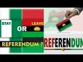 Referendum Is The Only Solution For The Agitation In Eastern Nigeria, One Man, One Vote