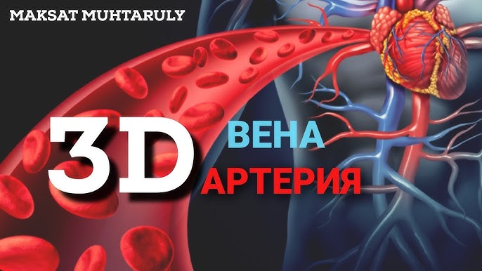 Ұйқыдағы қыздар секс Саша Грей өзін аузына егуге мүмкіндік береді