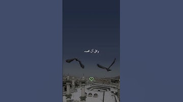 #الله #تلاوة_خاشعة #رح_سمعك # ماهرالمعيقلي #   #quran #islam #viral #foryou#fyp