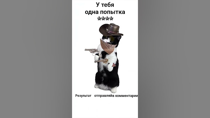 Ещё больше подобного в телеграм-канале Котятница 🐈‍⬛