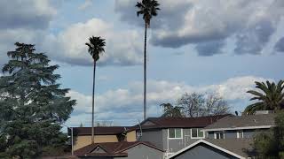 Partly Cloudy and Light NNE To North Winds 5:39pm March 15, 2021