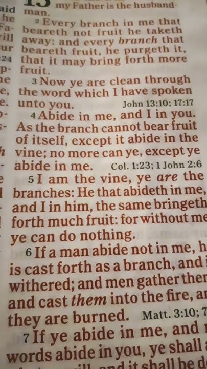 jesus-jesuschrist-jesusiscomingbacksoon-john-15-1-5-youtube