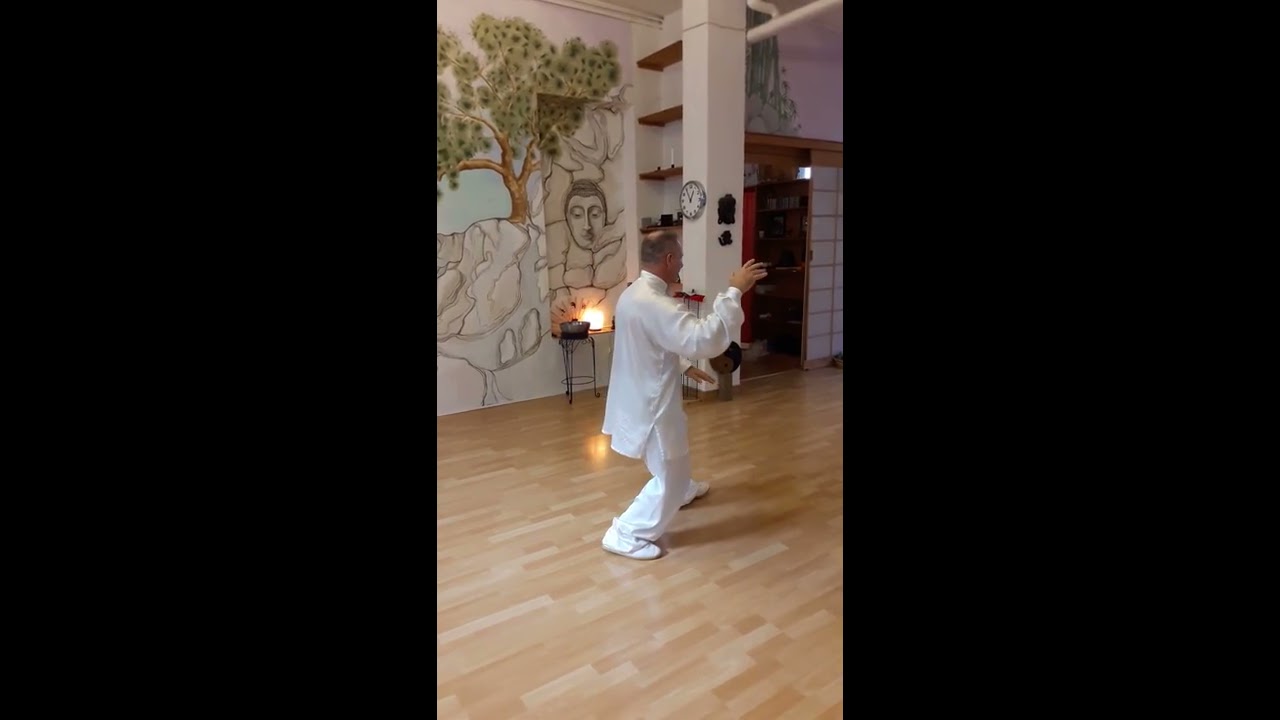 Maestro Massimo Frosi, Forma Yang, prima parte