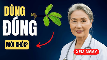 4 Mẹo Chữa Xương Khớp Cực Hay Bằng Cây Xấu Hổ, Khỏi Ngay Sau 7 Ngày