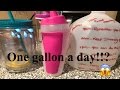 One Gallon of Water A Day|How?|Why?