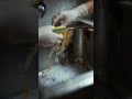 Ultimate ASMR Kitchen Sink Clean – Grime Disappears Like Magic! 💦