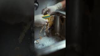 Ultimate ASMR Kitchen Sink Clean – Grime Disappears Like Magic! 💦