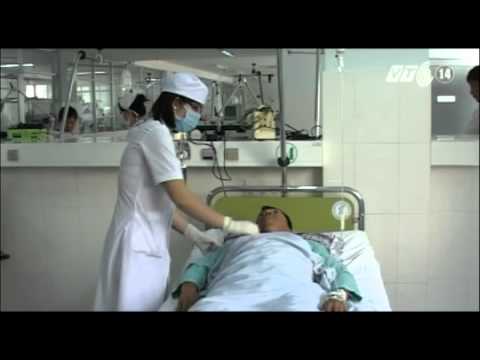 Video VTC14_Bọ xít hút máu người tại Khánh Hòa có độc lực... - youtube