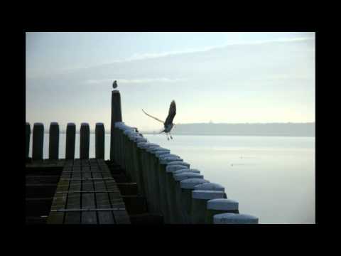 Watch Kaya Project - Resolve on YouTube Watch Kaya Project - Resolve on YouTube