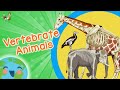 Vertebrate Animals Quiz