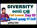 24bio revision  diversityday3   cover 