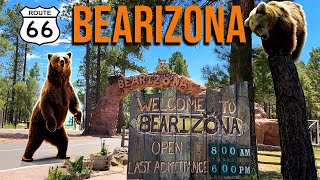 BEARIZONA  Arizona's DriveThru Wildlife Park