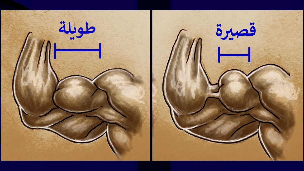 هل جيناتك ضعيفة ؟